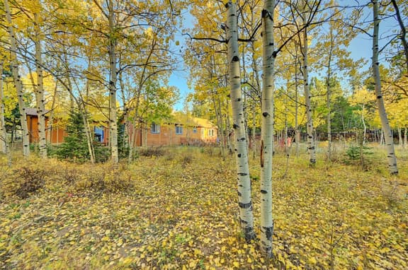 Bella's Place! Adorable cabin immaculate!