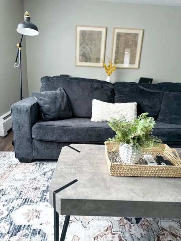 The Congress Park Retreat – 1BR Near Cherry Creek